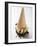 Cone of Nut Ice Cream with Chocolate Sauce-null-Framed Photographic Print