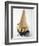 Cone of Nut Ice Cream with Chocolate Sauce-null-Framed Photographic Print