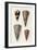 Cone Shell Collection I-Unknown-Framed Art Print