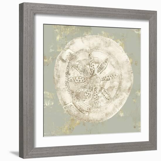 Cone Shells I-Aimee Wilson-Framed Art Print