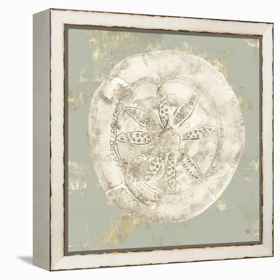 Cone Shells I-Aimee Wilson-Framed Stretched Canvas