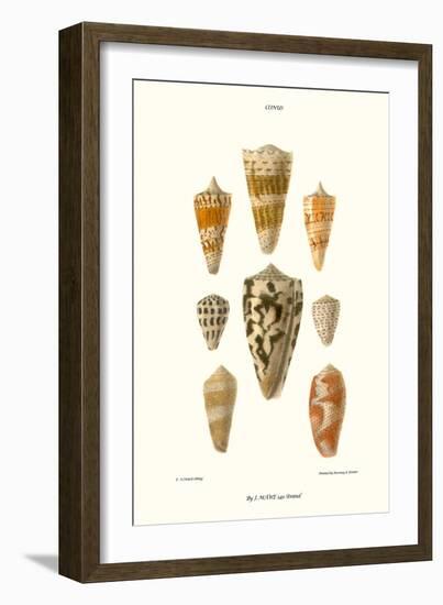 Cone Shells-John Mawe-Framed Art Print