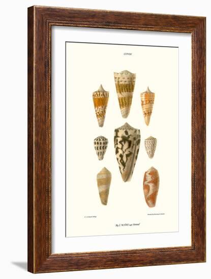 Cone Shells-John Mawe-Framed Art Print