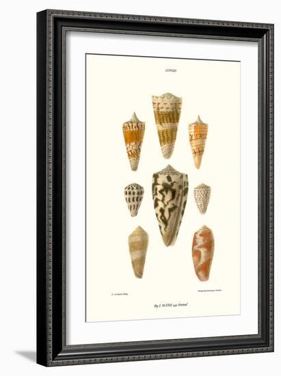 Cone Shells-John Mawe-Framed Art Print