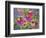 Coneflowers and Company-Blenda Tyvoll-Framed Art Print