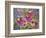 Coneflowers and Company-Blenda Tyvoll-Framed Premium Giclee Print