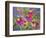 Coneflowers and Company-Blenda Tyvoll-Framed Premium Giclee Print