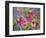 Coneflowers and Company-Blenda Tyvoll-Framed Premium Giclee Print