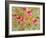 Coneflowers for Marian-Blenda Tyvoll-Framed Art Print