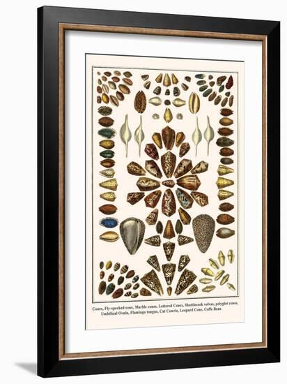 Cones, Fly-Specked Cone, Marble Cones, Lettered Cones, Shuttlecock Volvas, Polyglot Cones, etc.-Albertus Seba-Framed Art Print