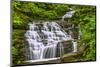 Conestoga Falls-Robert Lott-Mounted Art Print