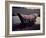 Conestoga Wagon, Type of Wagon Used by Pioneer Settlers in the American West-Gjon Mili-Framed Photographic Print