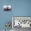 Coney Island Clams, Dogs, Heroes and Shish Kabob-Carol Highsmith-Mounted Photo displayed on a wall