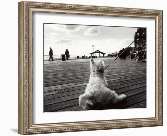 Coney Island Dog, NY, 2006-null-Framed Photographic Print