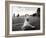 Coney Island Dog, NY, 2006-null-Framed Photographic Print