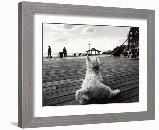 Coney Island Dog, NY, 2006-null-Framed Photographic Print