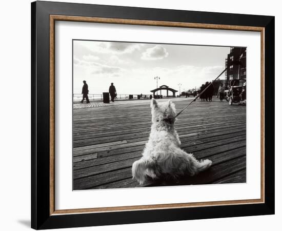 Coney Island Dog, NY, 2006-null-Framed Photographic Print