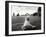 Coney Island Dog, NY, 2006-null-Framed Photographic Print