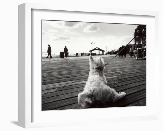 Coney Island Dog, NY, 2006-null-Framed Photographic Print