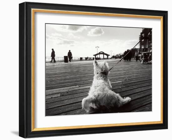 Coney Island Dog, NY, 2006-null-Framed Photographic Print