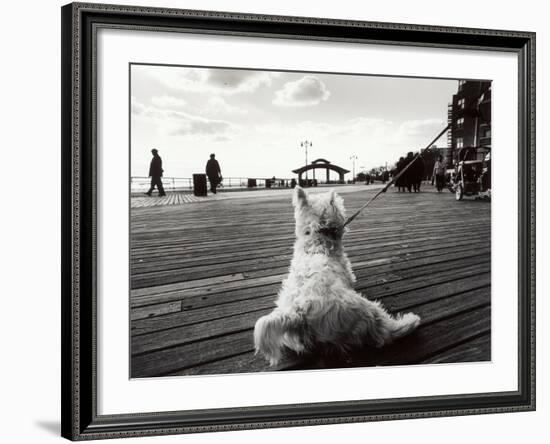 Coney Island Dog, NY, 2006-null-Framed Photographic Print