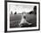 Coney Island Dog, NY, 2006-null-Framed Photographic Print