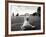 Coney Island Dog, NY, 2006-null-Framed Photographic Print