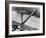 Coney Island Parachute Jump Aerial and Beach. Coney Island, Brooklyn, New York. 1951-Margaret Bourke-White-Framed Photographic Print