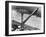 Coney Island Parachute Jump Aerial and Beach. Coney Island, Brooklyn, New York. 1951-Margaret Bourke-White-Framed Photographic Print