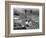 Coney Island View, New York, New York, c.1957-null-Framed Photographic Print