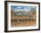 Coney Island-Bill Bell-Framed Giclee Print