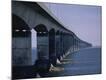 Premium Photographic Print