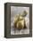Conference Pears-Kai Schwabe-Framed Premier Image Canvas