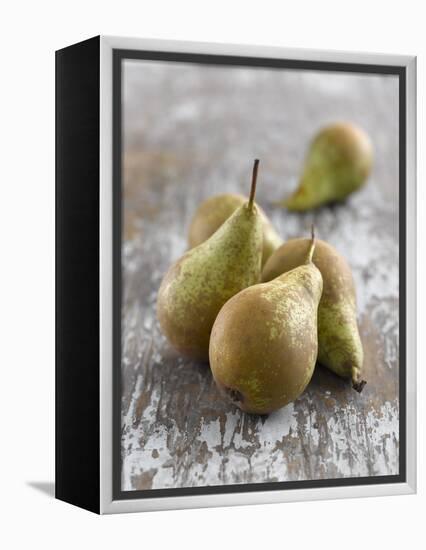 Conference Pears-Kai Schwabe-Framed Premier Image Canvas