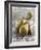 Conference Pears-Kai Schwabe-Framed Photographic Print