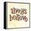 Confetti - Always Believe-Robbin Rawlings-Framed Stretched Canvas