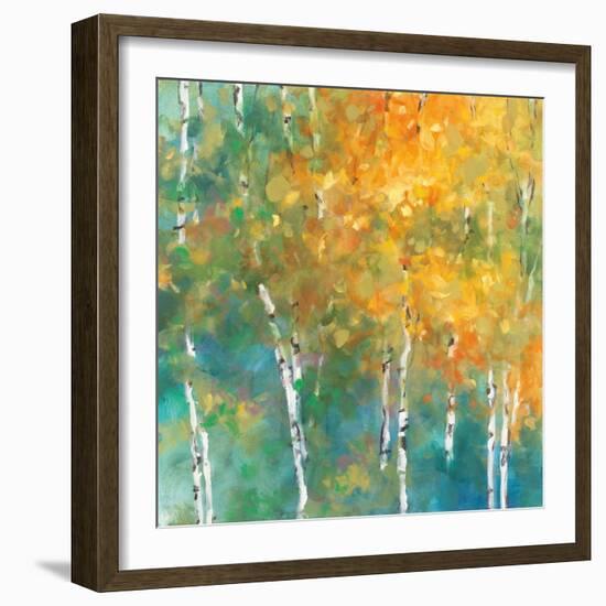 Confetti II-Julia Purinton-Framed Art Print