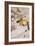 Confetti-Henri de Toulouse-Lautrec-Framed Giclee Print