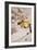 Confetti-Henri de Toulouse-Lautrec-Framed Giclee Print