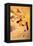 Confetti-Henri de Toulouse-Lautrec-Framed Stretched Canvas