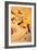 Confetti-Henri de Toulouse-Lautrec-Framed Art Print