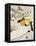 Confetti-Henri de Toulouse-Lautrec-Framed Premier Image Canvas