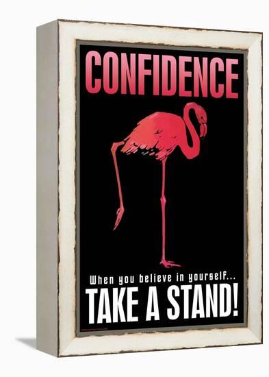 Confidence-null-Framed Stretched Canvas