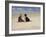 Confidences-Potthast-Framed Giclee Print