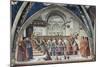 Confirmation of the Order of Saint Francis-Domenico Ghirlandaio-Mounted Giclee Print