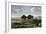 Confrontation Between Bulls in a Buffalo Herd, Great Plains-null-Framed Giclee Print