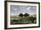 Confrontation Between Bulls in a Buffalo Herd, Great Plains-null-Framed Giclee Print