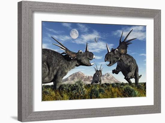 Confrontation Between Male Styracosaurus Dinosaurs-null-Framed Art Print