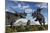 Confrontation Between Male Styracosaurus Dinosaurs-null-Mounted Art Print