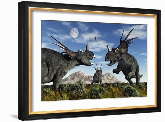 Confrontation Between Male Styracosaurus Dinosaurs-null-Framed Art Print